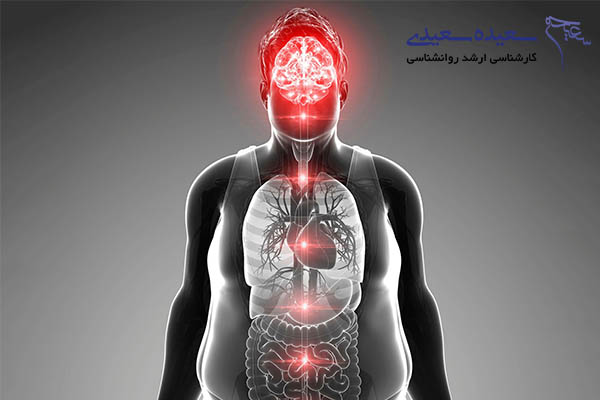 مغز عامل اصلی چاقی است